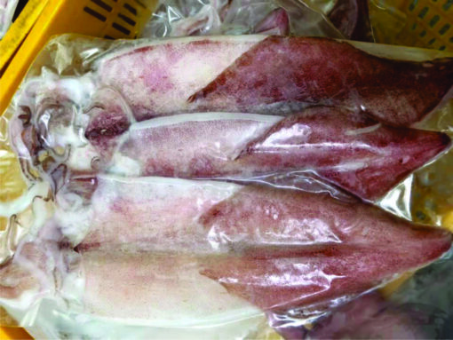 Mực một nắng 1kg