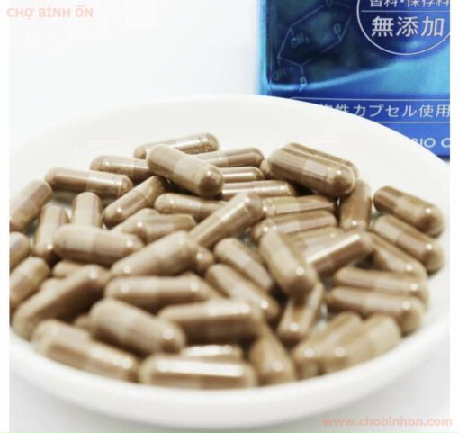 VIÊN HỖ TRỢ ĐIỀU TRỊ & PHÒNG NGỪA UNG THƯ OKINAWA FUCOIDAN KANEHIDE BIO